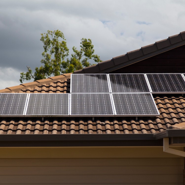 Just another WordPress site